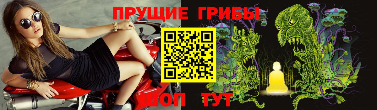 Галлюциногенные грибы Psilocybine cubensis Бугуруслан