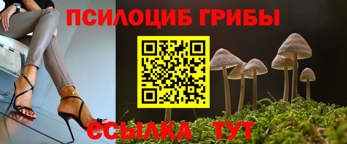 Бугуруслан  Псилоцибиновые грибы мухоморы  где купить наркотик  Вход с VPN 